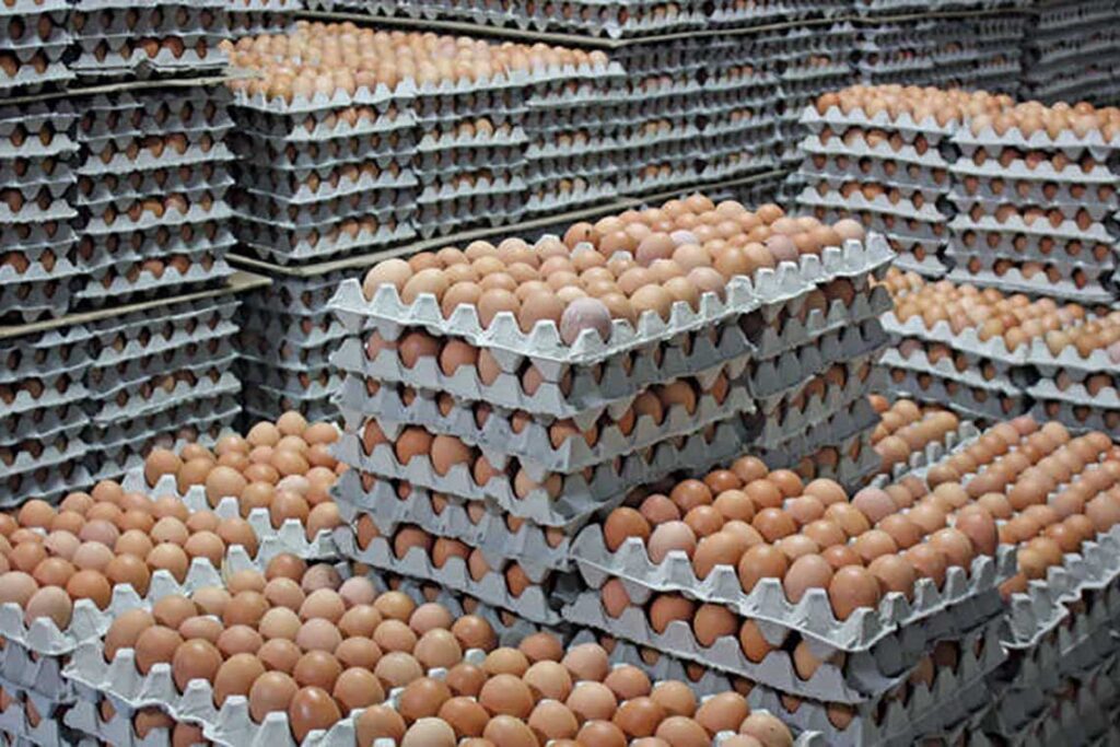 இறக்குமதி செய்யப்படும் முட்டை விலை குறைந்துள்ளது.