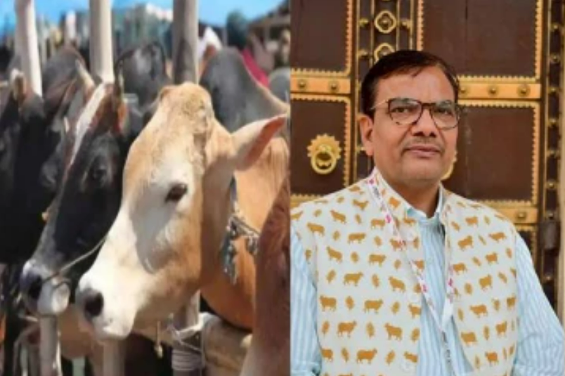 மாட்டுச்சாணத்தில் காகிதம் தயாரித்து கோடியில் சம்பாதிக்கும் இந்தியர்! அமெரிக்காவுக்கு ஏற்றுமதி