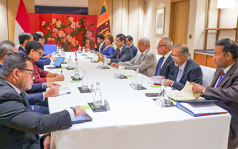 இந்தோனேசிய ஜனாதிபதியுடன் ரணில் சந்திப்பு!