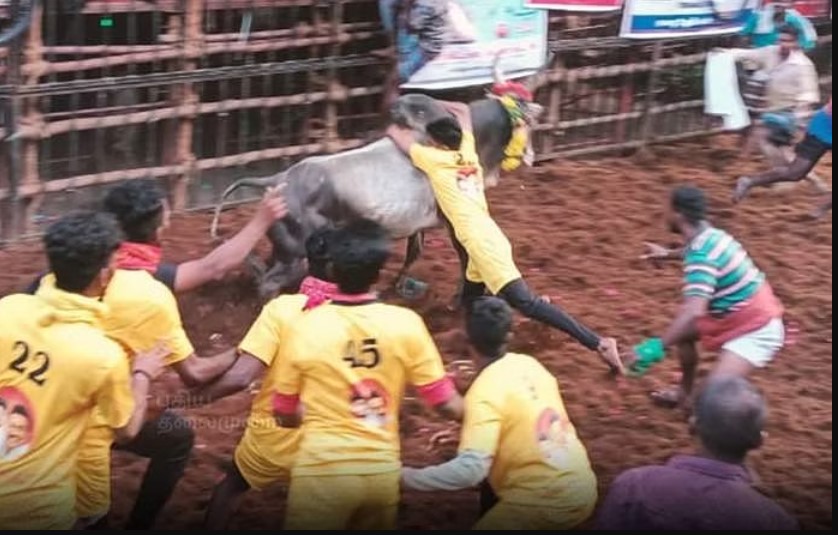 அவனியாபுரம்  ஜல்லிக்கட்டுப் போட்டி: 7 காளைகளை அடக்கி தேனி வீரர் முதலிடம்!