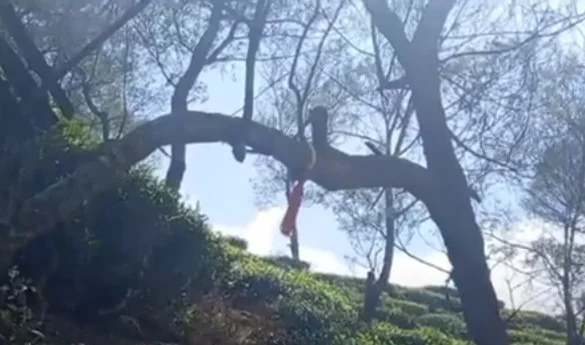 கயிறு கழுத்தில் இறுகி 12 வயது சிறுவன் பரிதாபச் சாவு.