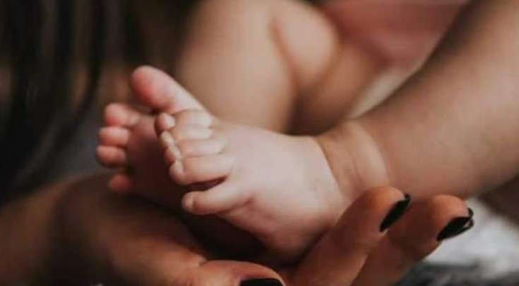 தமிழகத்தில் அதிகரிக்கும் புட்டாலம்மை: உருமாறிய வைரஸ் காரணமா?