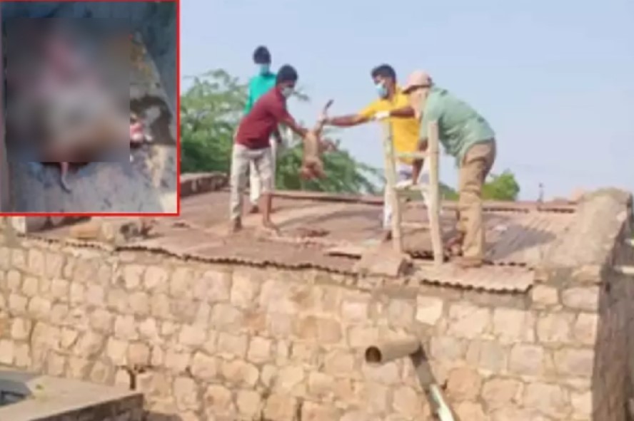 குடிநீர் தொட்டியில் துர்நாற்றம்; திறந்து பார்த்து அதிர்ந்த அதிகாரிகள் – அதிர்ச்சி சம்பவம்!