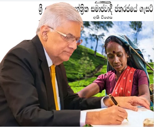 தோட்டத் தொழிலாளர்களின் நாளாந்த சம்பளம் ரூபா 1700 வரை அதிகரிக்கப்படும் – ரணில்.