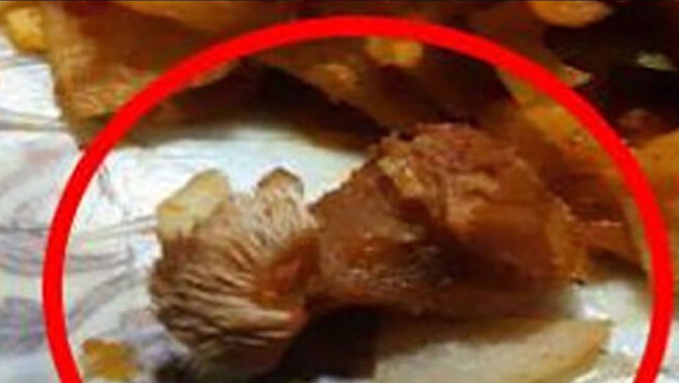 மாட்டிறைச்சிக்கு பதிலாக நாய் இறைச்சி விற்ற யாழ். தெல்லிப்பளை உணவகத்தை இழுத்து மூட உத்தரவு.