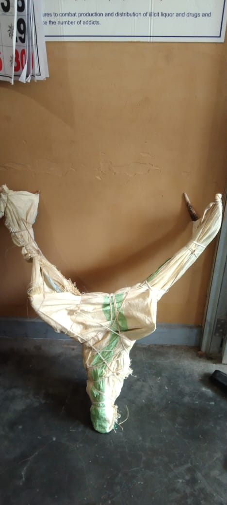 யாழில் மான் கொம்புடன் ஒருவர் சிக்கினார்.