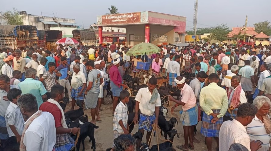 விராலிமலையில் ஒன்றரை கோடியை தாண்டிய ஆடு வர்த்தகம்: விவசாயிகள் மகிழ்ச்சி