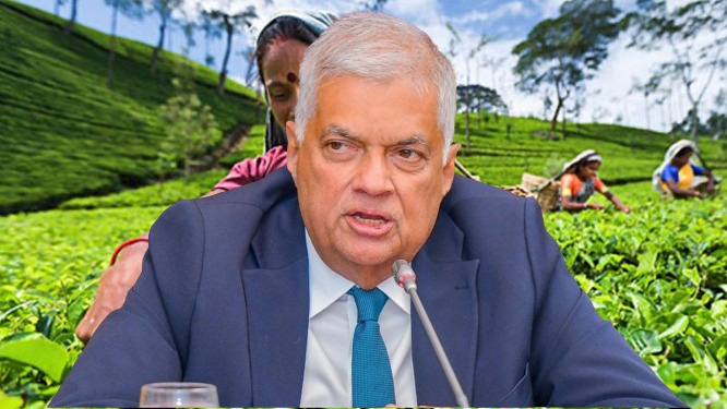 தோட்டத் தொழிலாளர்கள் விஷயத்தில் ஜனாதிபதி தொழிலாளர்களோடு …..