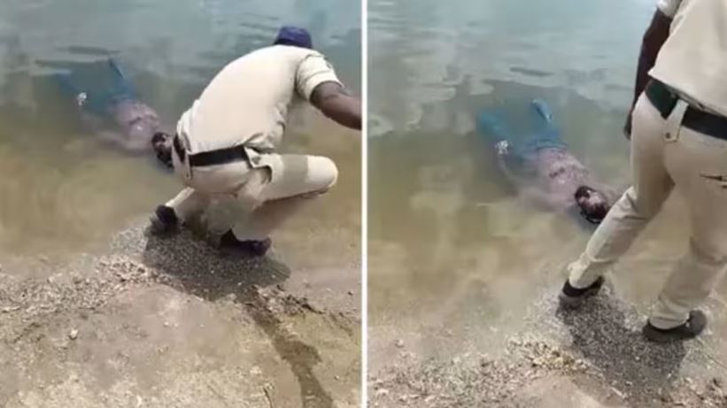 குளத்தில் மிதந்தது சடலம் என நினைத்தால் , சடலம்  அல்ல (Video)