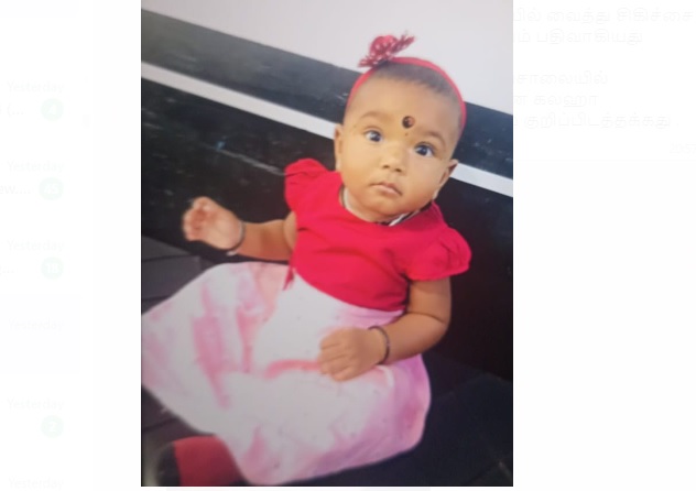 தேங்காய் வீழ்ந்து பெண் குழந்தை பரிதாப மரணம்!