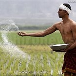 விவசாயிகளுக்கும் அடுத்த இரண்டு பருவங்களுக்கு இலவச உரத்தை வழங்க அரசாங்கம் தீர்மானம்.