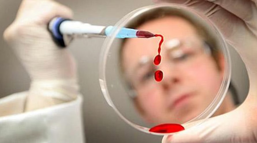 கேரளத்தில் ஆப்பிரிக்க பன்றிக் காய்ச்சல் உறுதியானது