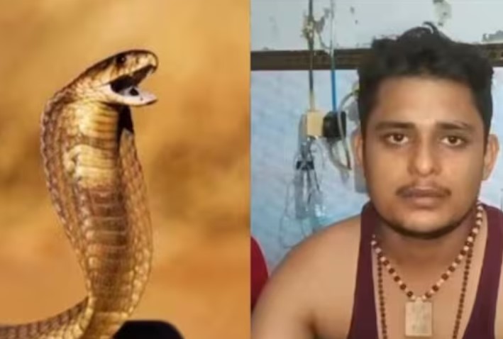 ஒன்பதாவது முறை பாம்பு கடித்தால், நீ இறந்து விடுவாய் என கனவில் வந்த பாம்பு.. உ.பியில் பயங்கரம்