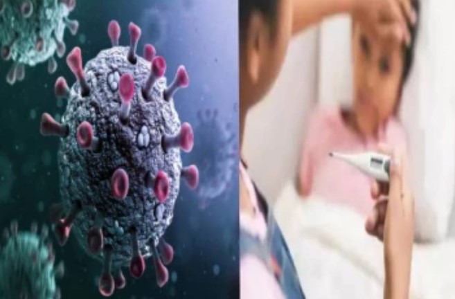 வட மாநிலங்களில் சண்டிபுரா வைரஸால் பாதிக்கப்பட்ட 6 குழந்தைகள் மரணம்!