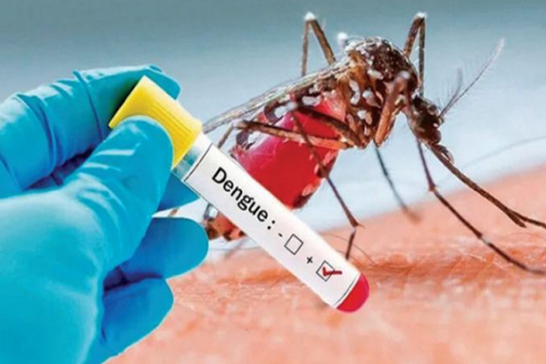 இலங்கையில் டெங்கு அபாயம்! – இந்த ஆண்டு இதுவரை 13 ஆயிரத்துக்கும் அதிகமானோர் பாதிப்பு.