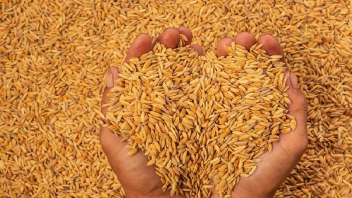 இன்று முதல் அரிசி இறக்குமதிக்கான  டெண்டர் கோரப்படுகிறது.