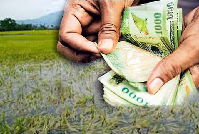 பயிர் சேதங்களுக்கு ரூ.1 லட்சம் வழங்க ஒரு சிறப்பு முடிவு  – அதைப் பெறுபவர்கள் யார்?