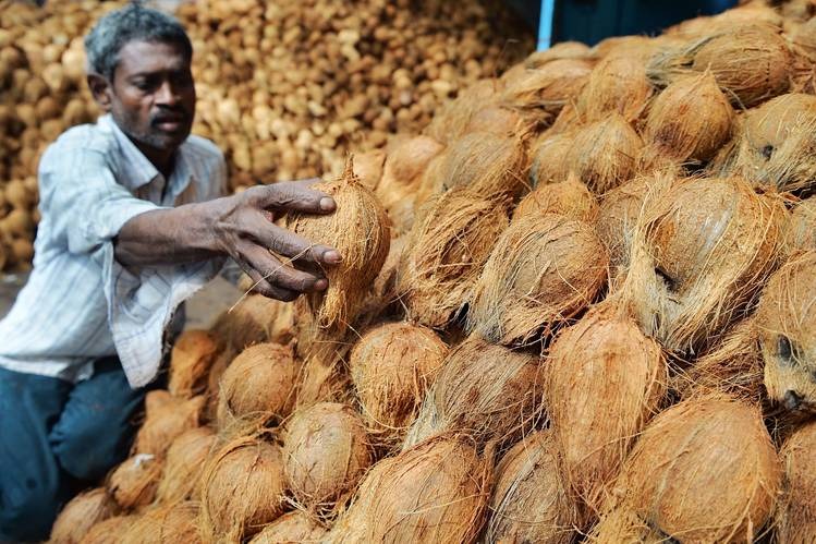 தேங்காய் நெருக்கடிக்கு தீர்வு.