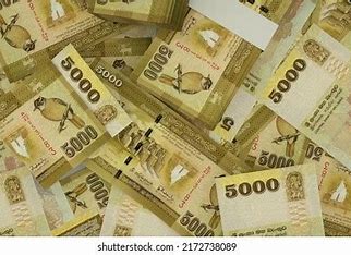 இந்த ஆண்டு நவம்பர் மாதத்தில் இலங்கையின் மொத்த ஏற்றுமதி வருமானம் 37,000 கோடி.