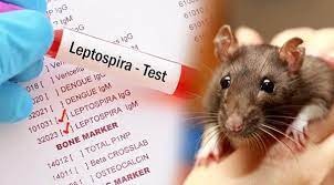 வடக்கு மக்களே! அவதானமாயிருங்கள்!