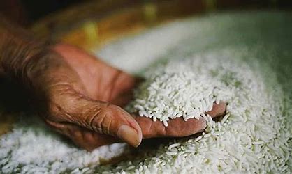 எதிர்வரும் 10ஆம் திகதி வரை அரிசி இறக்குமதி செய்வதற்கு அமைச்சரவை அங்கீகாரம்.