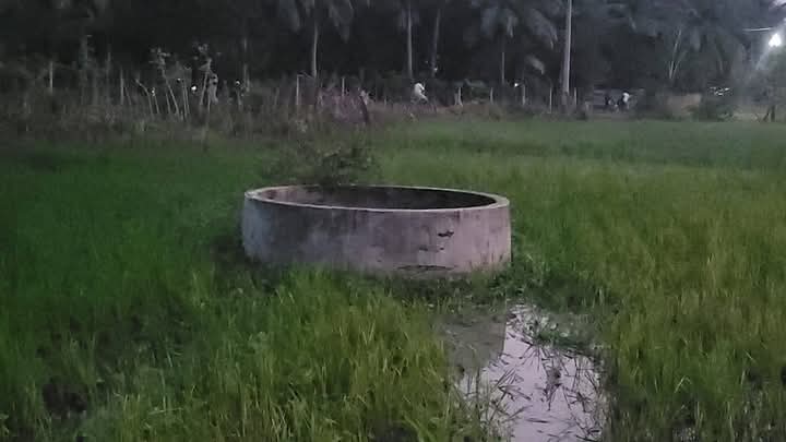 வயல் கிணறொன்றில் இருந்து வயோதிபப் பெண் ஒருவரின் சடலம்.