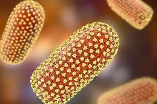 சீனாவில் பரவி வரும் புதிய வகை வைரஸ்.