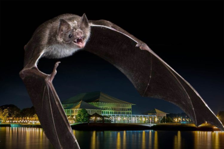 பெண் நாடாளுமன்ற ஊழியர்களை பாலியல் வன்கொடுமை செய்த மூன்று நாடாளுமன்ற பராமரிப்பு ஊழியர்கள் பணியிலிருந்து நீக்கம்!