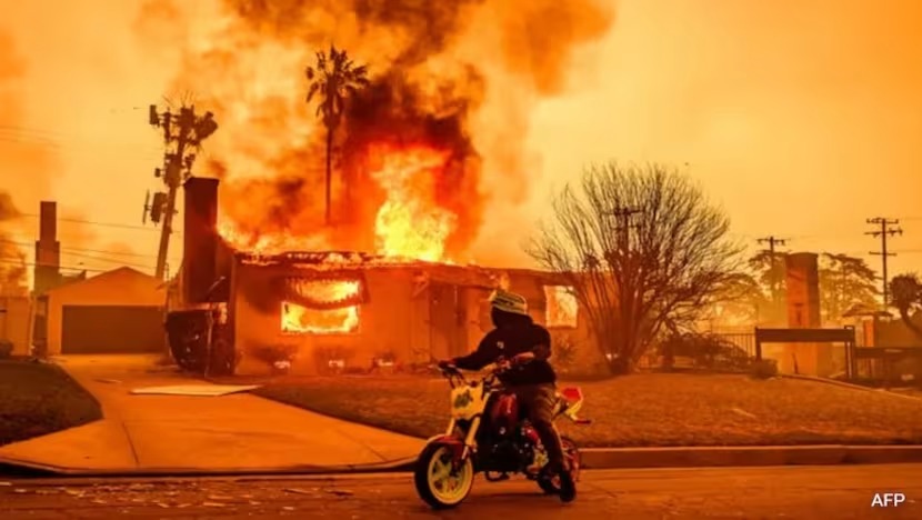 காட்டுத்தீயைக் கட்டுப்படுத்தப் போராடும் அமெரிக்கா!