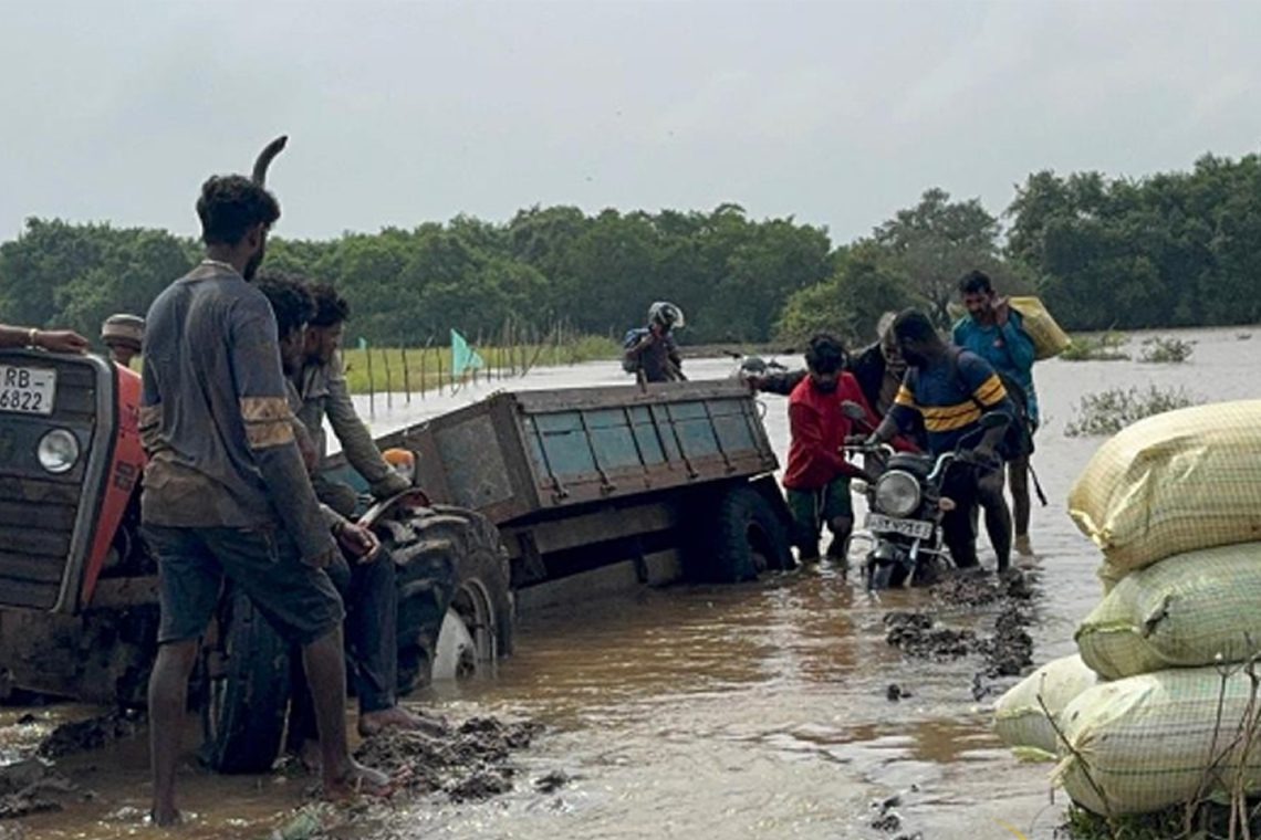 முல்லைத்தீவில் வீதி மோசமாக இருப்பதால்..  அறுவடை செய்த நெல்லை  யானைகளுக்கு உணவாக கொடுக்க விவசாயிகள் முடிவு !