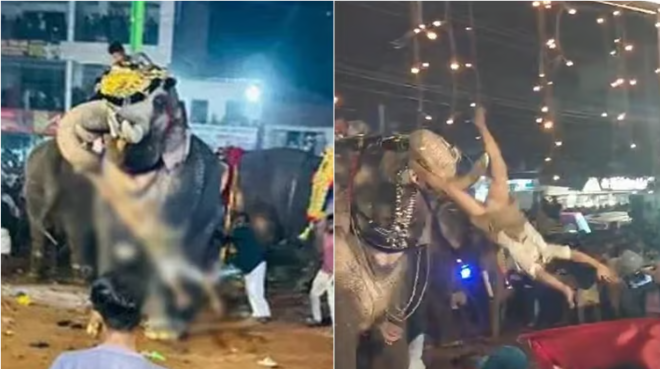 மலப்புரம் திருவிழாவில் யானை தாக்கியதில் படுகாயமடைந்த ஒருவர் பலி!