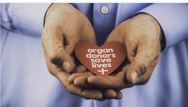 உடல் உறுப்புகளை தானம் வழங்கும் மத்திய அரசு ஊழியர்கள் 42 நாள் சிறப்பு தற்செயல் விடுப்பு