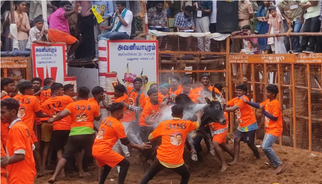 அவனியாபுரம் ஜல்லிக்கட்டு கோலாகலம்! : 28 பேர் காயம்