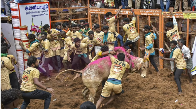 அவனியாபுரம் ஜல்லிக்கட்டுப் போட்டியில் 19 காளைகளை அடக்கி திருப்பரங்குன்றம் கார்த்திக் முதலிடம்!