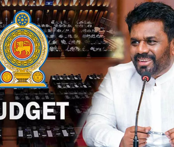 திசைகாட்டி அரசின் முதல் பட்ஜெட் 155 வாக்குகளால் நிறைவேறியது.