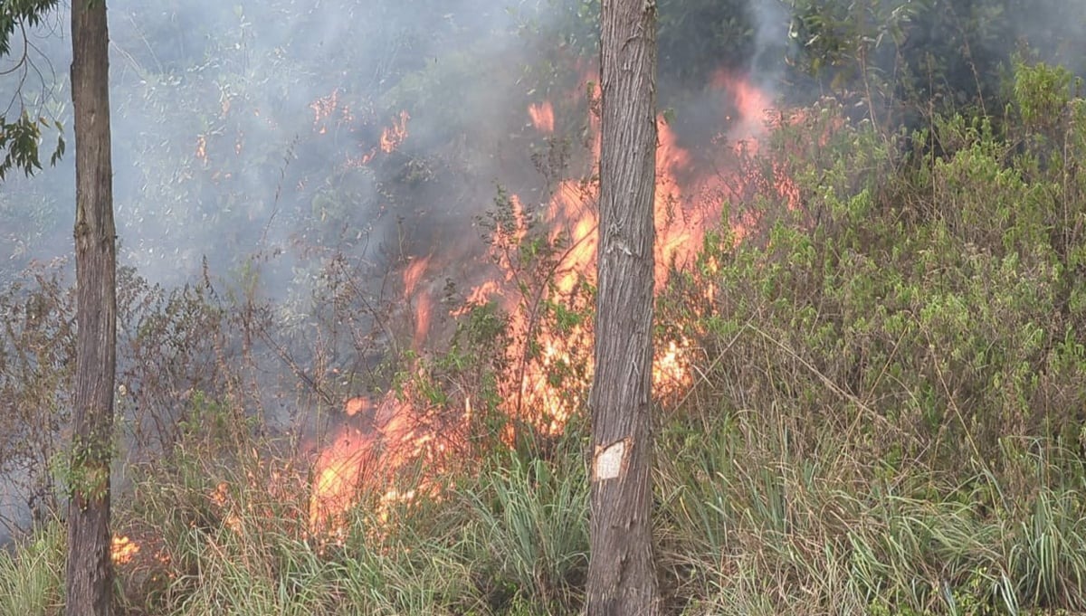 சமனல சரணாலயத்தில் தீ விபத்து: 30 ஏக்கர் நாசம்.