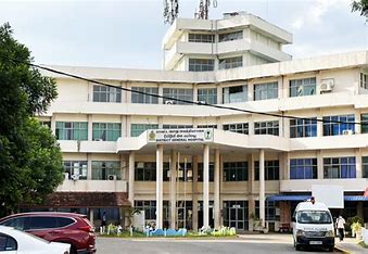 குளவி கொட்டியதில் 9 பேர் வவுனியா பொது வைத்தியசாலையில் அனுமதி .