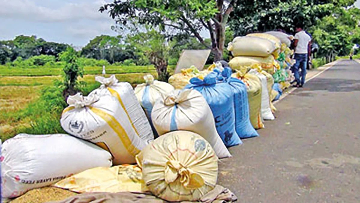 அரசுக்கு 16,000 கிலோ நெல்லை  விற்பனை செய்த விவசாயிகள்