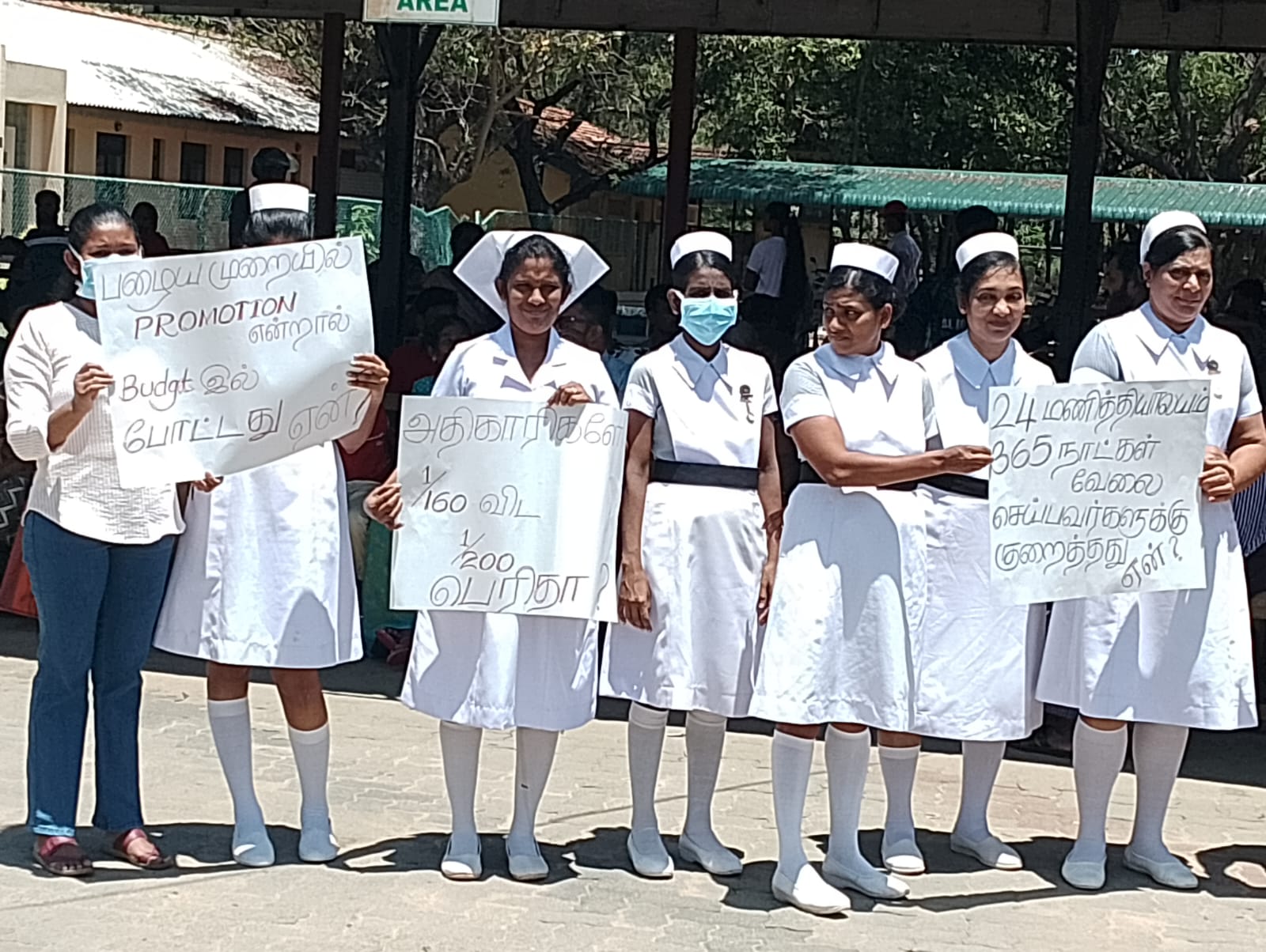 மன்னாரில் தாதிய உத்தியோகத்தர்கள் பணிப் பகிஷ்கரிப்பு