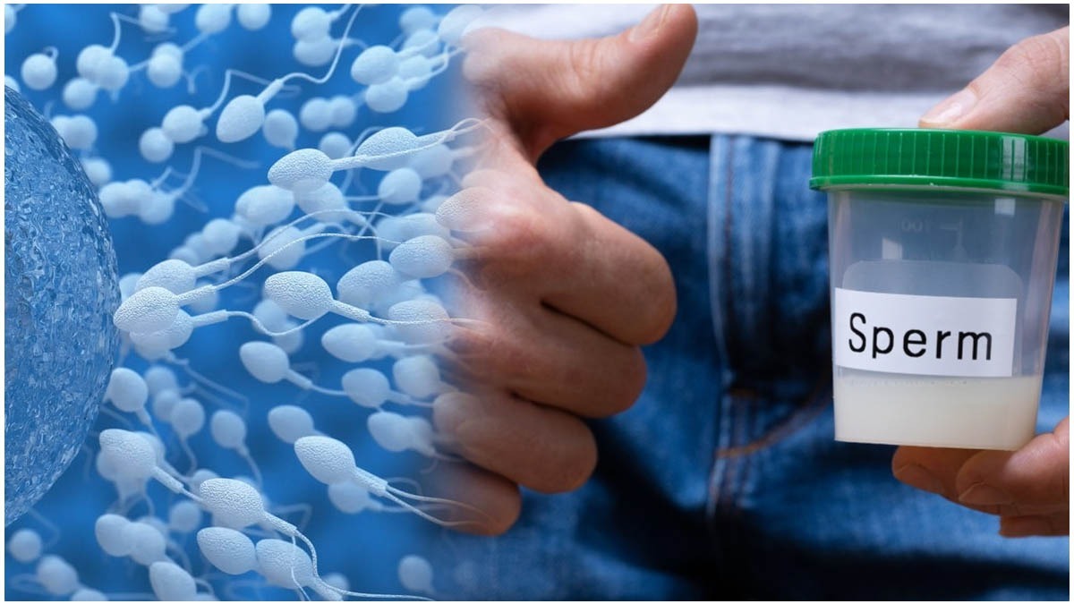 பொரளையில் விந்தணு வங்கி திறப்பு; நன்கொடையாளர்களுக்கு வாய்ப்பு.