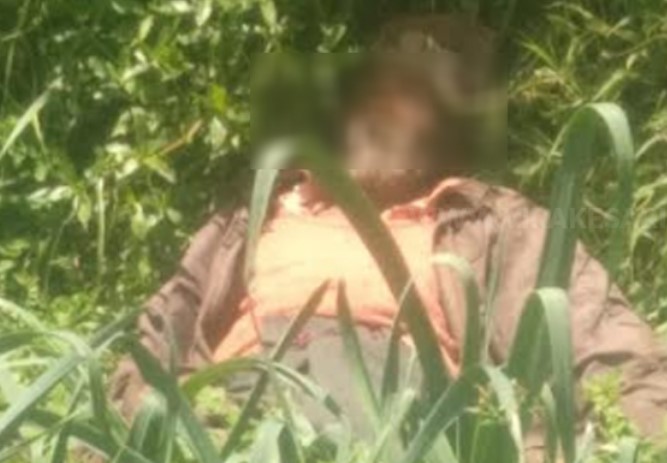 கந்தப்பளையில் மின்சாரம் தாக்கி வயோதிபர் ஒருவர் பரிதாப மரணம்.