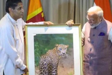 மோடிக்கு சஜித் வழங்கிய சிறப்பு பரிசு  Eye-One.