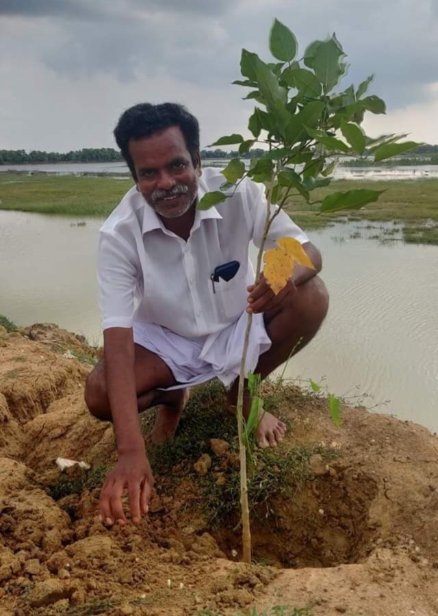 அன்னிய நாட்டு மரங்கள் அகற்றத்தில் தமிழகம் முன்னிலையில் – தைல மரங்களை அகற்ற கோரிய வழக்கில் நீதிமன்ற பாராட்டு!