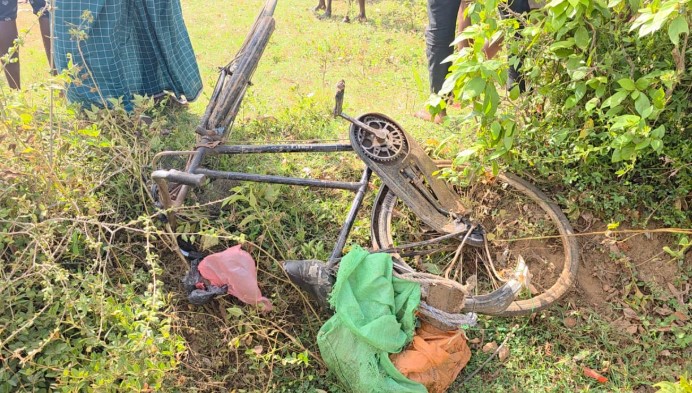 சம்பூரில் யானை தாக்கி வயோதிபர் உயிரிழப்பு!