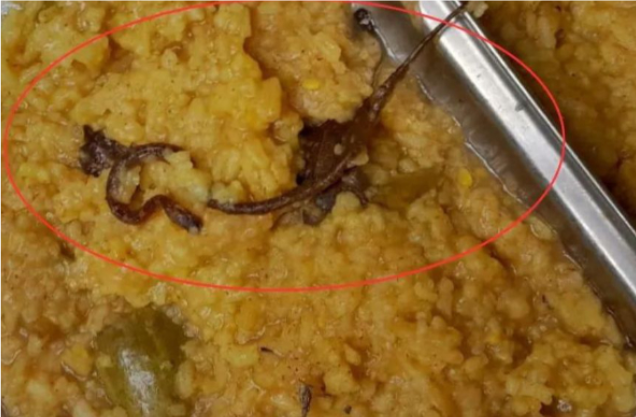பாடசாலை உணவில் பாம்பு: 100க்கும் மேற்பட்ட மாணவர்கள் பாதிப்பு