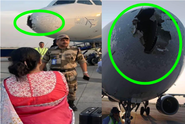 டெல்லியில் ஆலங்கட்டி மழையால் சேதமடைந்த இண்டிகோ விமானம் அவசரமாகத் தரையிறக்கம்: பயணிகள் அதிர்ச்சி