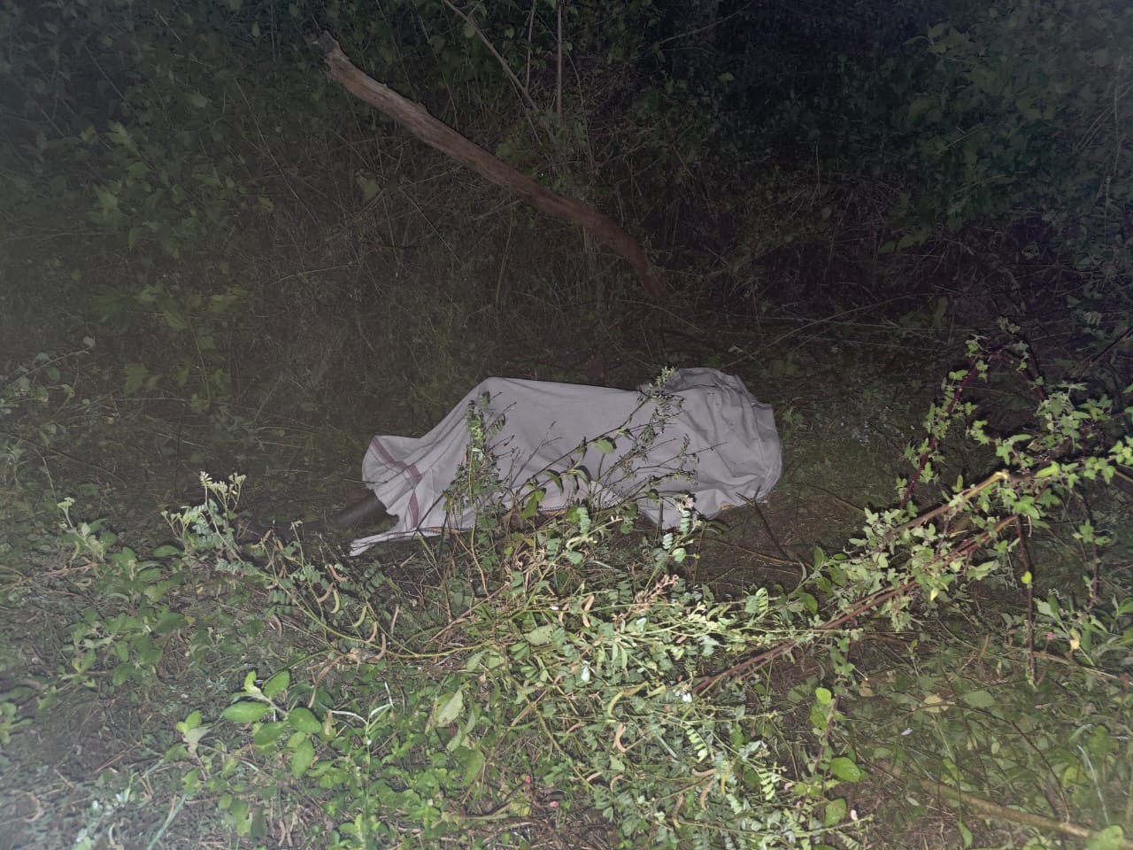 செட்டிகுளத்தில் யானை தாக்கி ஒருவர் மரணம்.