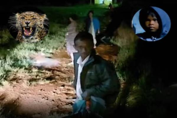 கோவை வால்பாறையில் அதிர்ச்சி: வீட்டின் வெளியே விளையாடிக் கொண்டிருந்த சிறுமியை சிறுத்தை கவ்விச் சென்றது!