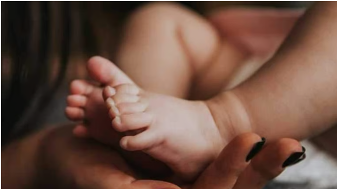 பச்சிளம் சிசுவின் உடலை கவ்விச் சென்ற நாய்: மத்திய பிரதேசத்தில் அதிர்ச்சி!