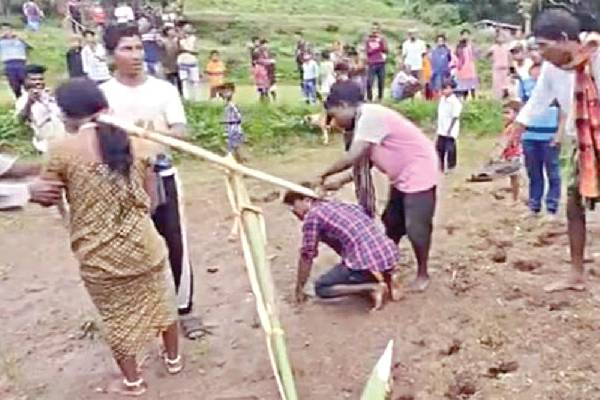 காதலித்து திருமணம் செய்த ஜோடிக்கு நூதன தண்டனை: மாடுகள் போல் ஏரில் பூட்டி உழ வைத்த கிராமத்தினர்!